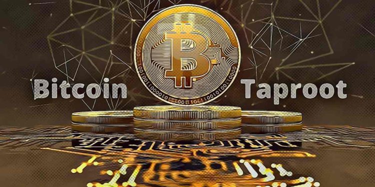 Taproot升級後，比特幣衝破66,000美元！專家看好促進BTC採用率、帶來真正可擴展性