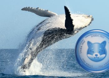 柴犬幣巨鯨 | 一隻砸千萬鎂大買、一隻移動40兆顆SHIB；Kraken或將上架