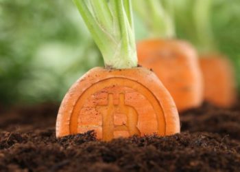 - Source : CoinShark-