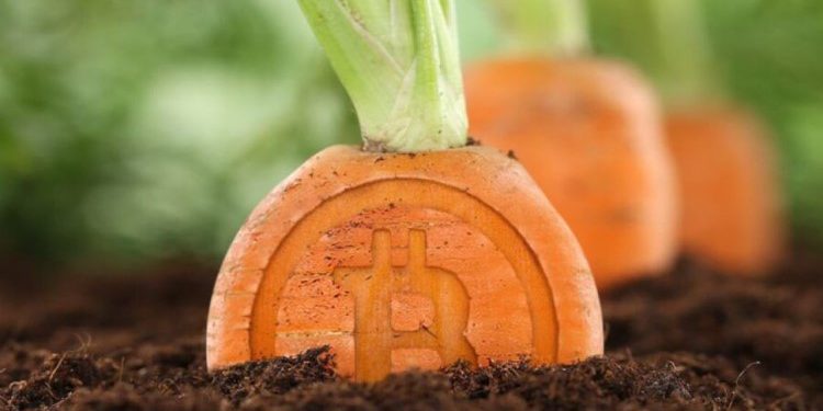 - Source : CoinShark-