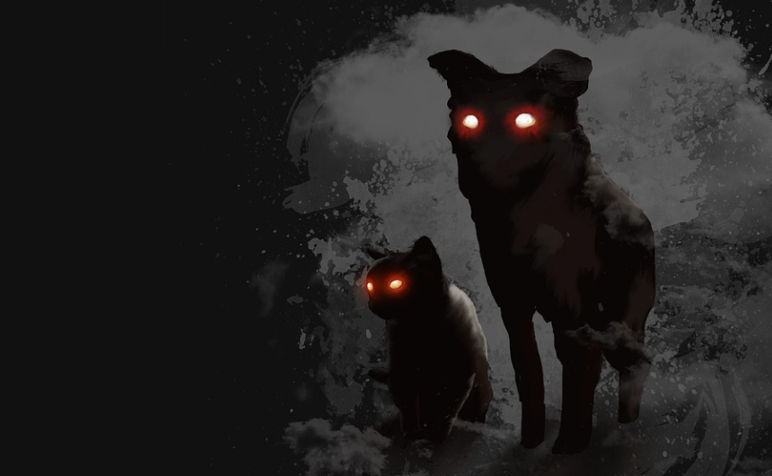 tfyguhijokpl[;' | 動區動趨-最具影響力的區塊鏈新聞媒體