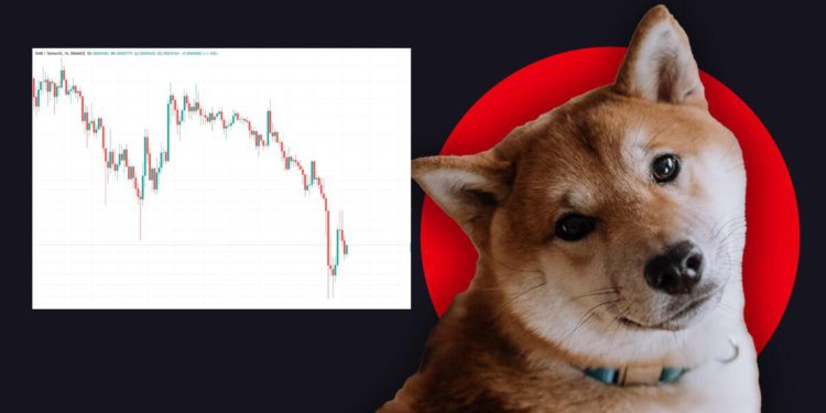 40兆顆柴犬幣被巨鯨移動後，幣價下挫25%！破17萬人請願Amazon接受SHIB