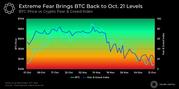 市場極度恐懼！比特幣跌破4.8萬鎂，分析師料年底盤整；散戶持續買進「巨鯨卻不屯幣」