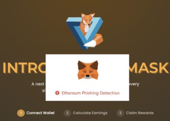 SOS仿盤｜Maskdao剛宣布要空投，就被 Metamask 警告「網路釣魚」項目！