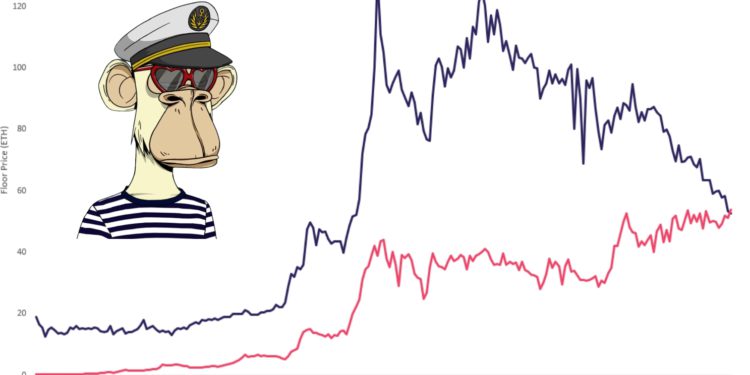 無聊猿BAYC地板價首超車CryptoPunks！來到53.81顆以太幣