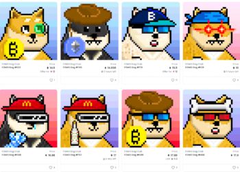 追高狗俱樂部｜PTT鄉民發問：女友找我合資「貸款200萬進場Fomo Dog」，擔憂太衝動