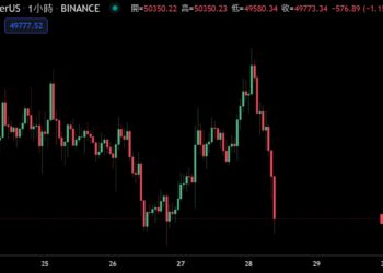 52000後下殺跌破5萬大關！比特幣槓桿率創歷史新高；Willy Woo : 明年邁向10萬鎂