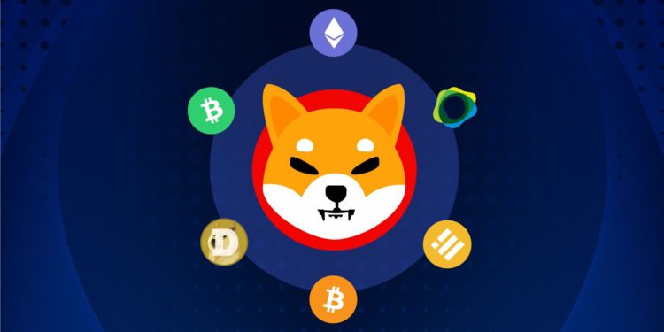 美電商巨頭 Newegg 接受SHIB支付！Robinhood 傳 Q1 上架柴犬幣