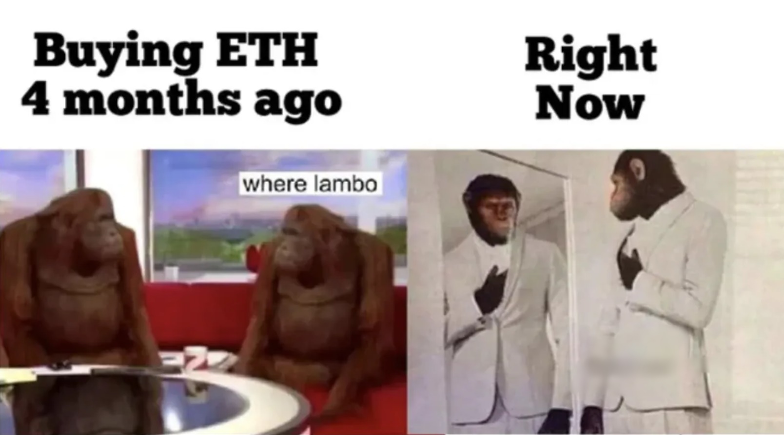 271533320_332663682058755_2372430185942090224_n | 動區動趨-最具影響力的區塊鏈新聞媒體