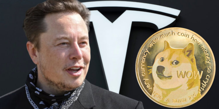 特斯拉 Model Y 網頁程式碼驚見Doge支付選項！狗狗幣大漲 16.8%