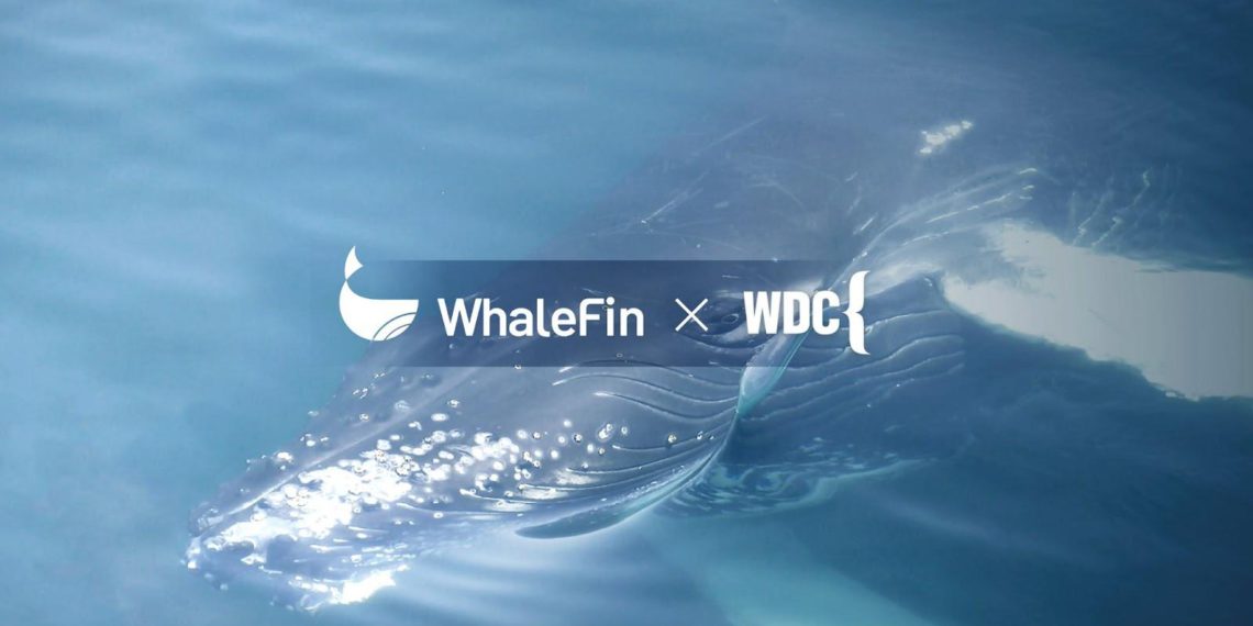 Amber Group｜一體化數位資產平台「WhaleFin」與國際鯨豚保護組織 WDC 達成合作