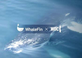 Amber Group｜一體化數位資產平台「WhaleFin」與國際鯨豚保護組織 WDC 達成合作