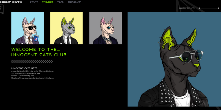 innocentcats (1) | 動區動趨-最具影響力的區塊鏈新聞媒體 潘瑋柏 IG 秀出「無辜貓 Innocent Cats」NFT,周杰倫 林俊傑點讚