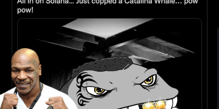 Solana | 拳王泰森 :「All in SOL！」並曬 Catalina 鯨魚 NFT；美國銀行 : Solana將成加密領域的VISA