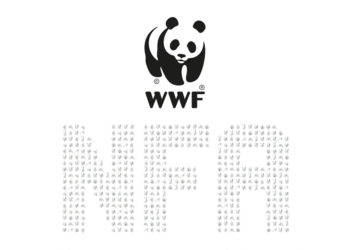 被環保人士打敗！世界自然基金會撤銷「保護環境目的」的NFT項目，即便在Polygon