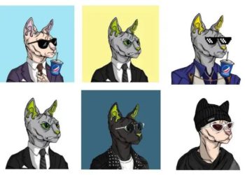 觀點｜NFT 巨鯨大起底，暴富神話該如何練成？