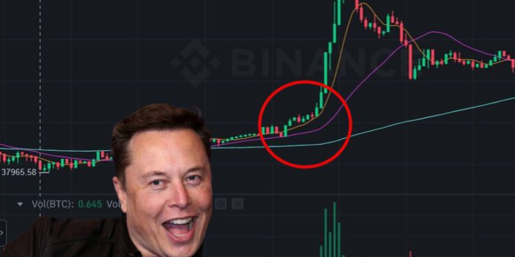 馬斯克談通膨危機：不會出售比特幣、以太坊、狗狗幣持倉，BTC急漲 2 %