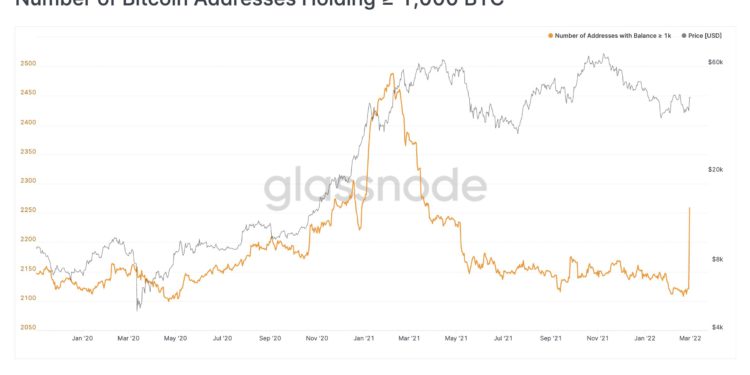 俄羅斯遭制裁、大戶逃難？持有逾 1,000 BTC 地址數「單日激增150個」