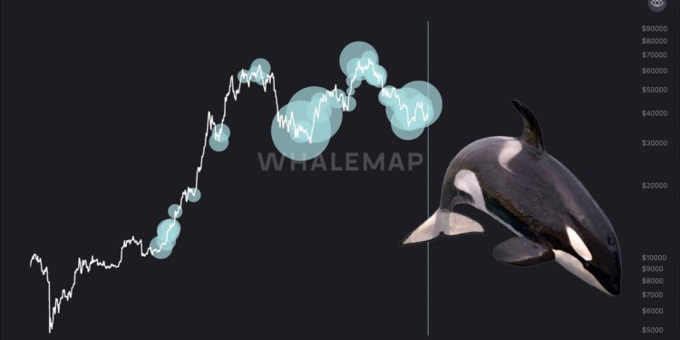 比特幣大漲期間、巨鯨轉移超20萬顆BTC！Glassnode：或與交易所內部錢包整理有關