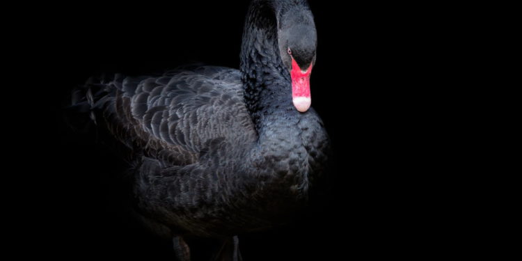 e83y289852 | 動區動趨-最具影響力的區塊鏈新聞媒體 觀點|312 血洗日兩週年,重溫歷史,敬畏市場