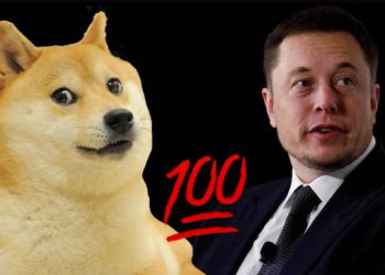 馬斯克想推自家社交平台「支援狗狗幣打賞」，Doge大漲超8%