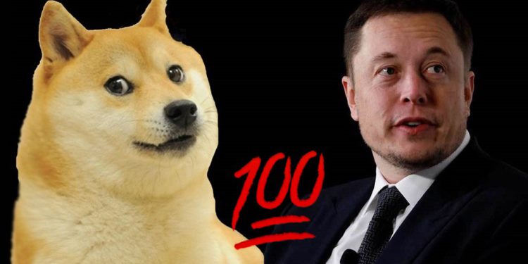 馬斯克想推自家社交平台「支援狗狗幣打賞」，Doge大漲超8%