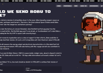 - Bobu Proposal -