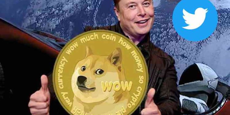 Binance Labs 投資總監：馬斯克入股Twitter，狗狗幣或能被引入推特