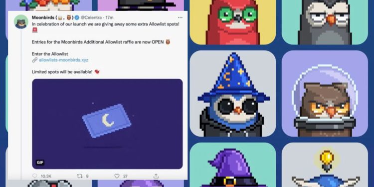 藍籌 NFT「Moonbirds」市值突破 5 億美元，推特詐騙乍現、美議員兒子也遭殃