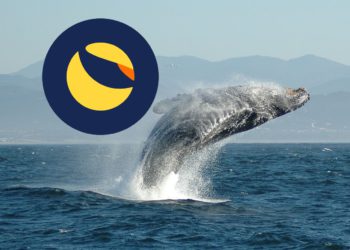 Luna團滅各大鯨魚》韓國Hashed虧36億鎂！Galaxy 三箭 Pentera  DeFinance Jump…遭遇數十億級虧損