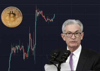 聯準會升息2碼、6月啟動縮表，鮑爾：升3碼未積極考慮；美股、比特幣勁揚