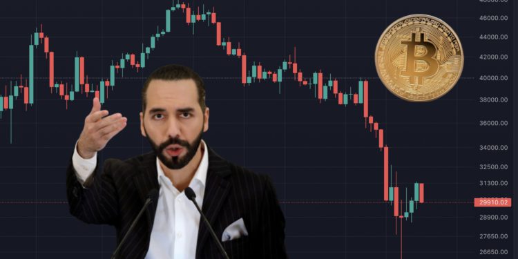 薩爾瓦多投資 BTC 已浮虧 4,000 萬鎂！將集結 44 國開會討論比特幣推廣、金融包容性…
