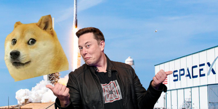 馬斯克﹕SpaceX 商品很快將接受狗狗幣支付！Doge 半小時跳漲 16%