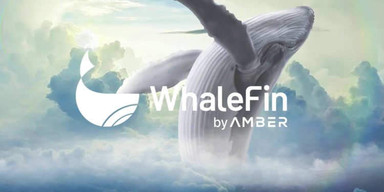 機構資金正大舉出逃？Amber Group揭機構客戶心思、談台灣前景