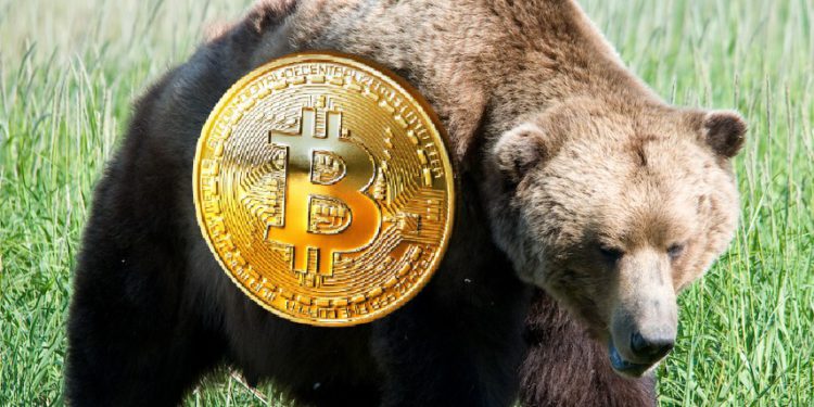 摩根史丹利：出現 2018、19年熊市訊號！加密貨幣 VC 投資規模將下滑 50 %