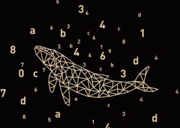 破產重組 | Babel Finance主觀交易共虧2.8億美元，仍在尋求債轉股權