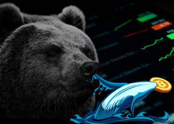 Glassnode：比特幣鏈上活動入熊，但蝦米、巨鯨「強烈囤幣」趨勢顯現