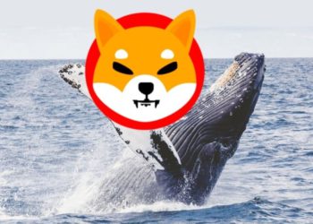一鯨魚掃貨20兆顆柴犬幣！2.1億鎂創史上最大單筆交易；SHIB擬推出穩定幣、獎勵代幣