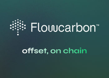 因幣市低迷，WeWork 創辦人的碳權代幣化公司宣布「無限期推遲發幣」