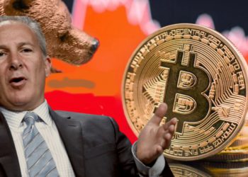 才罵買比特幣傻！黃金大師 Peter Schiff 抱怨銀行帳號被鎖，網狂酸：BTC 沒這問題