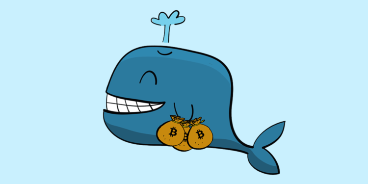 2位律師探討「三箭資本破產」: 臨時清算有何區別？清算人？資不抵債怎辦？