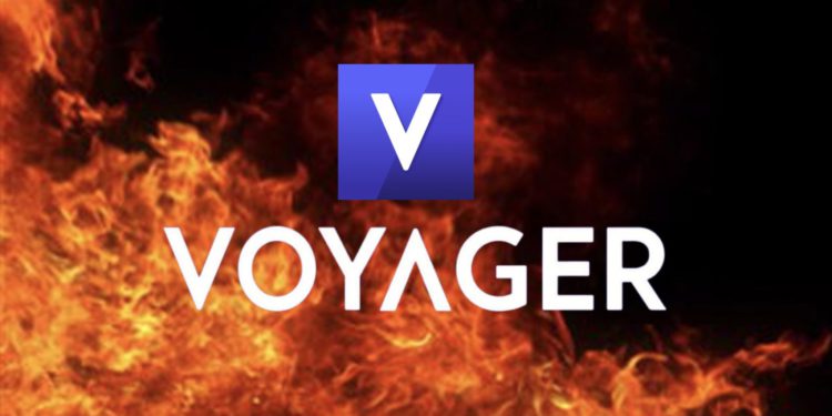 來自散戶的自白｜Voyager破產動搖幣圈信仰，受害投資者：不會再碰加密貨幣了！