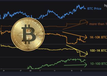 CryptoQuant : 本次市場反彈是由「造市商」推動！持萬枚的比特幣巨鯨掃貨