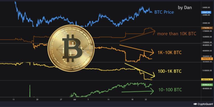 Xnip2022-07-24_15-23-54 | 動區動趨-最具影響力的區塊鏈新聞媒體 CryptoQuant : 本次市場反彈是由「造市商」推動!持萬枚的比特幣巨鯨掃貨