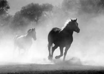 投資邏輯｜Soundwise創辦人分享：”5步驟” 篩選出優質加密項目