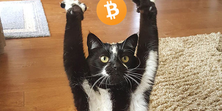 Glassnode : 最糟的比特幣投降或已結束！機構調查 : 過去數週 54% 投資者未賣幣