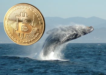 沉睡9年「1萬枚比特幣」轉出流向幣安、Kraken！巨鯨獲利或超1.94億美元
