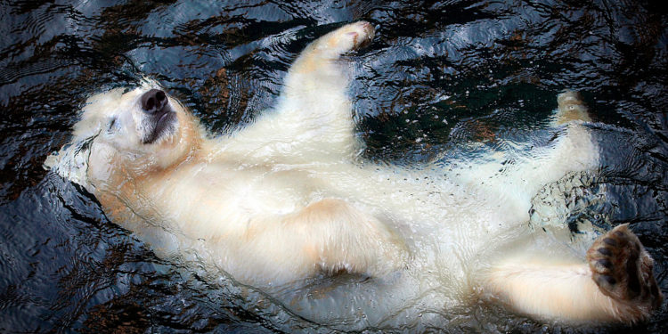 熊市如何找到「潛力標的」？一文盤點頂級 VC 共同投資的項目