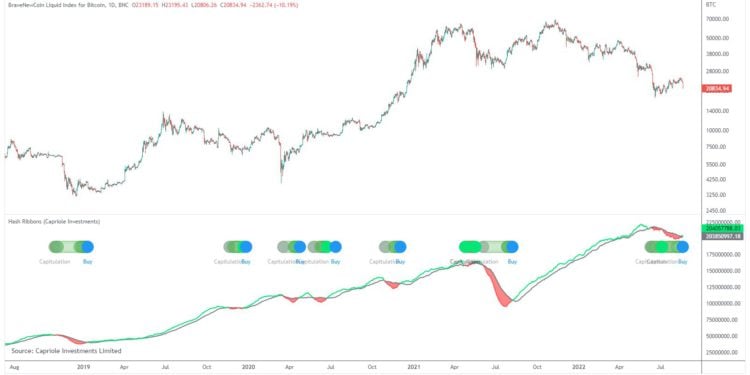 Capriole創辦人 : 比特幣算力帶指標顯示「礦工投降已結束」，買入信號出現！