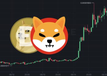 柴狗暴漲！柴犬幣飆升40%市值超越AVAX，狗狗幣齊勁揚17%